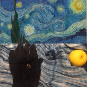 A07BA529-BC22-407E-992B-0F3117F29838 2