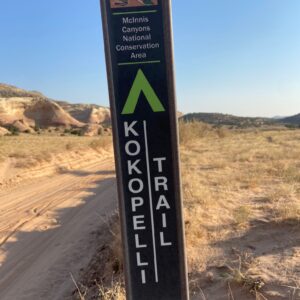 50540732478_1889a6a04a_o